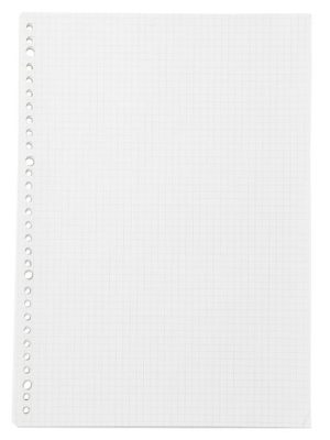 Loose-Leaf Grid Paper 5 mm