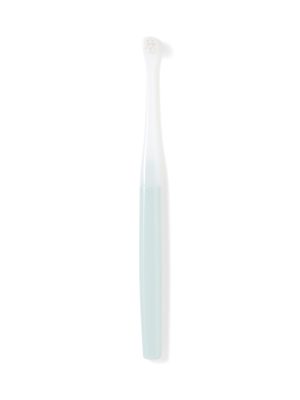 Replaceable Head Compact Soft Toothbrush - Blue