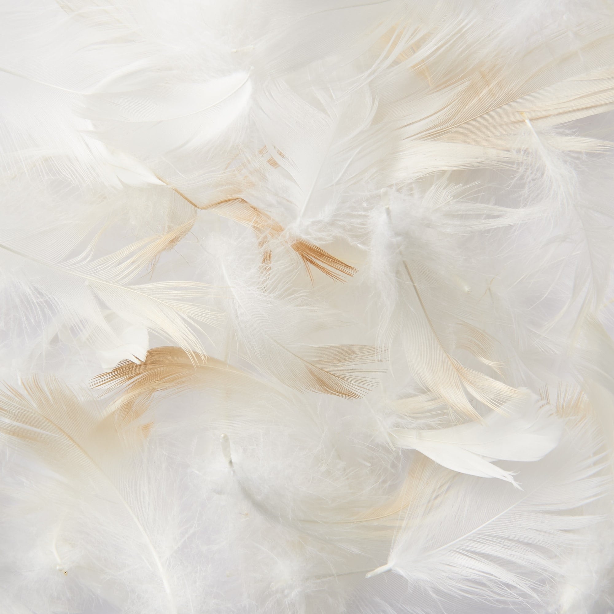 Feather Pillow - 17 x 25 - Image 4