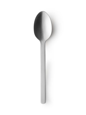 Stainless Steel Straight Handle Spoon - Large