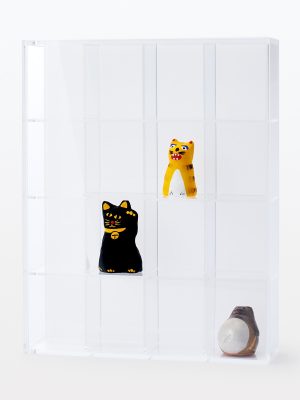 Translucent Back Acrylic Collection Box